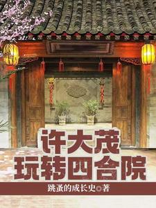 四合院许大茂的精彩
